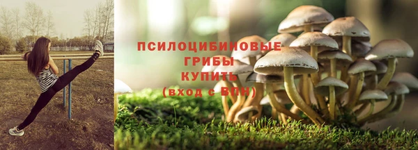 PSILOCYBIN Богданович